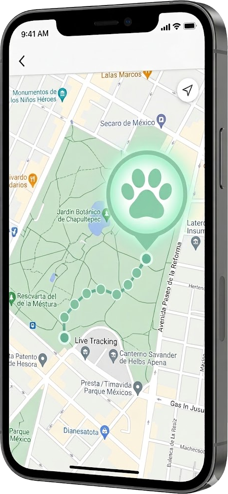 App de Canminos mostrando el recorrido del perro en tiempo real